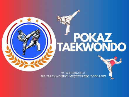 11Pokaz Taekwondo