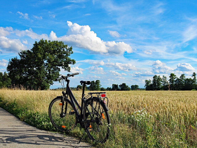 summer-2462535_1280